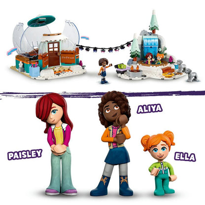 LEGO Friends Ferien im Iglu