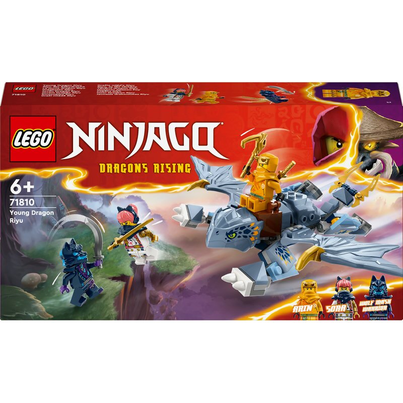 LEGO Ninjago Riyu der Babydrache